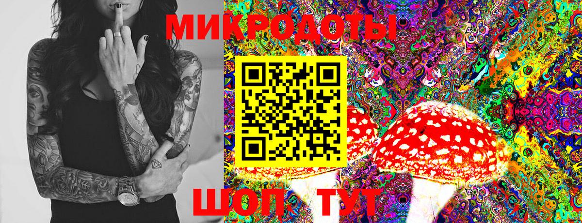 Галлюциногенные грибы Psilocybine cubensis  Псилоцибиновые грибы Magic Shrooms  цены   Вход с VPN  Екатеринбург 