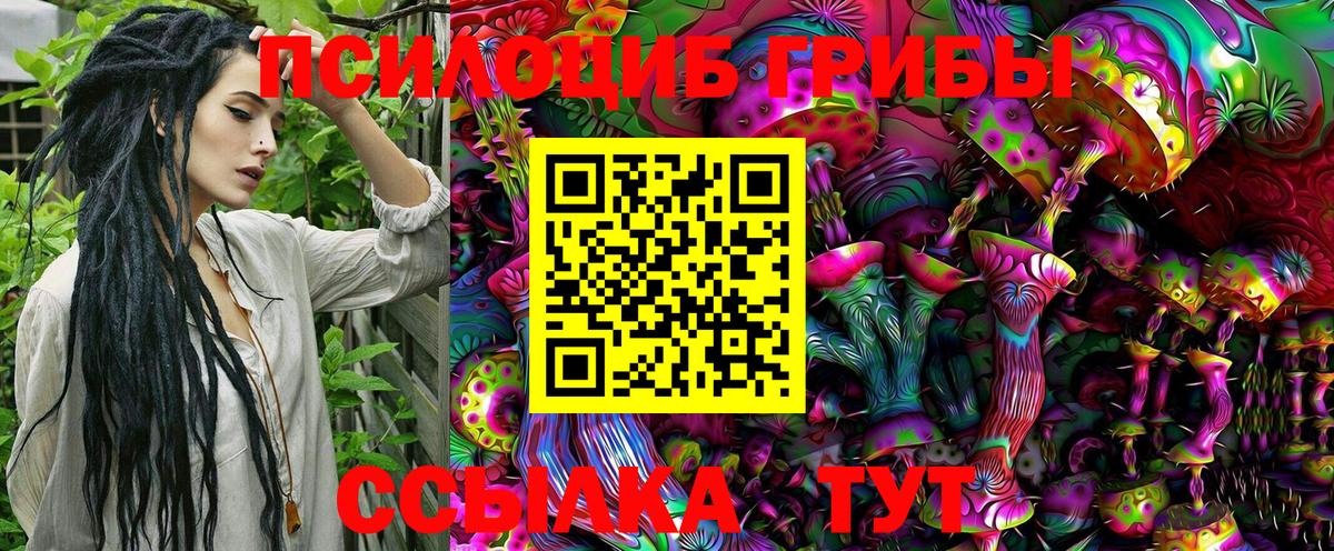 Псилоцибиновые грибы мицелий Екатеринбург
